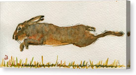 Leaping Hare on Grass Canvas Print