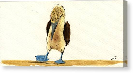 Blue-footed Booby Standing Alone Canvas Print