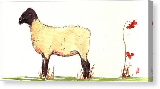 Sheep black white Canvas Art Print by Juan  Bosco