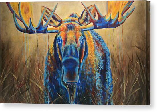 Moose Marsh Canvas Art Print by Teshia Art