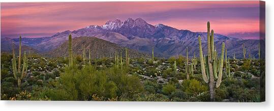 Four Peaks Sunset Panorama Canvas Art Print by Dave Dilli