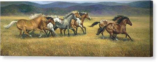 Galloping Horses in a Meadow Canvas Print