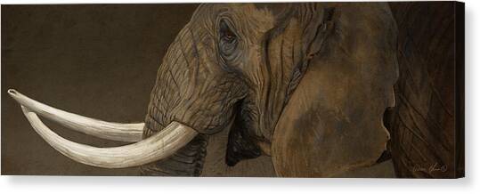 Majestic Elephant Profile Canvas Print