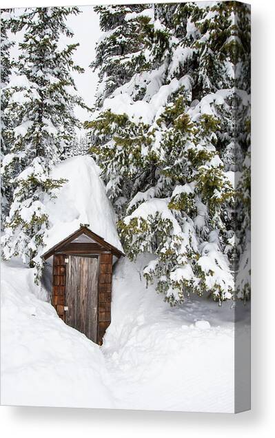 A Buried Out House At Whitefish Canvas Art Print by Craig Moore