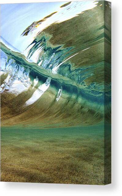 Abstract Underwater 2 Canvas Art Print by Vince Cavataio - Printscapes