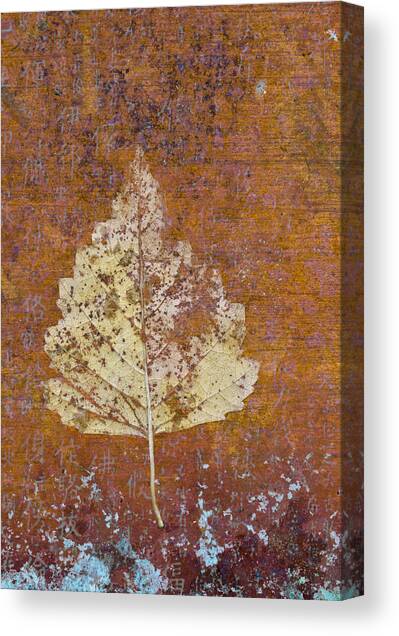 Leaf on Rustic Background Canvas Print