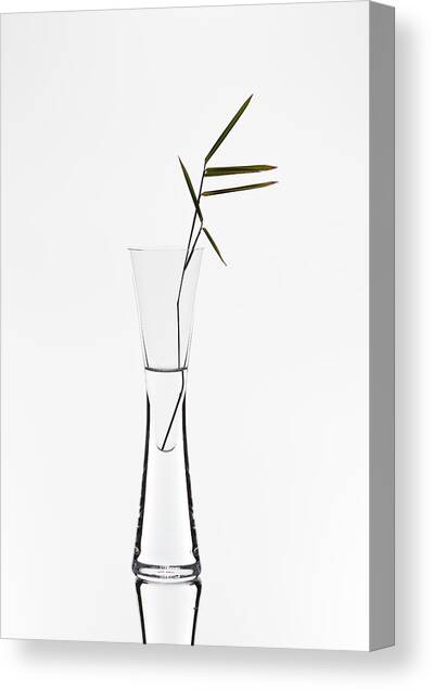 Bamboo Canvas Art Print by Christian Pabst