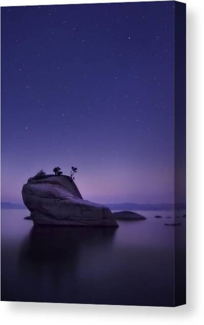 Bonsai Island Canvas Art Print by Sean Foster