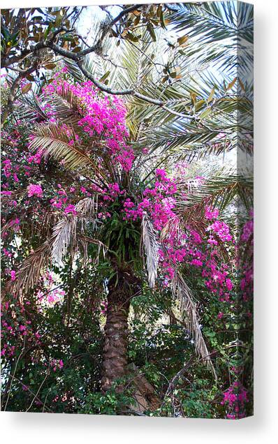 Decorated Palm Canvas Art Print by Aimee L Maher ALM GALLERY