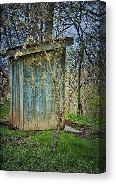 Outhouse in Spring Canvas Art Print by Nikolyn McDonald