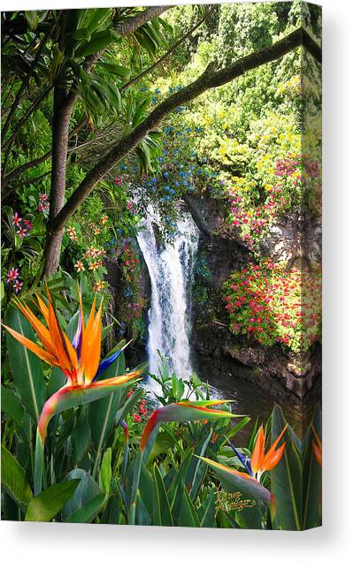 Paradise Falls Canvas Art Print by Doug Kreuger