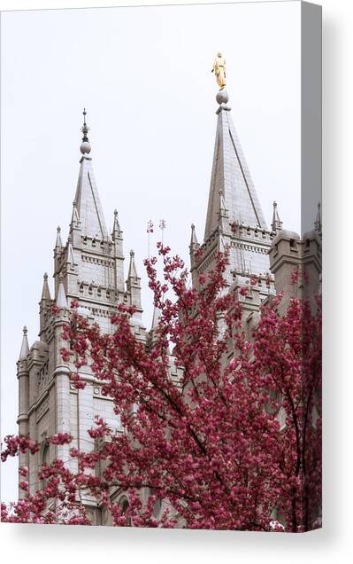 Temple Spires and Cherry Blossoms Canvas Print