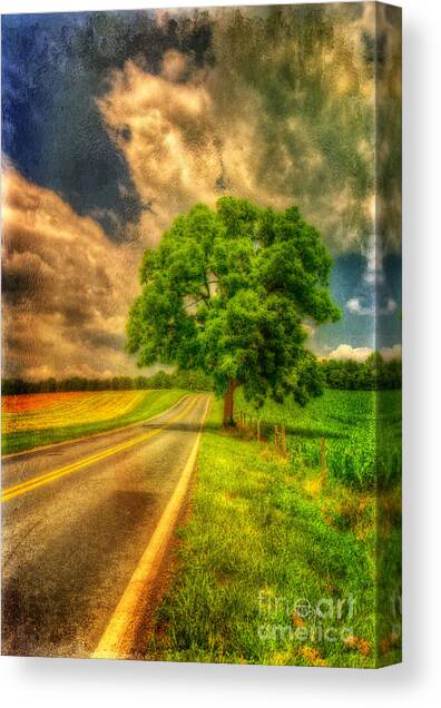 Take Me Home Canvas Art Print by Lois Bryan