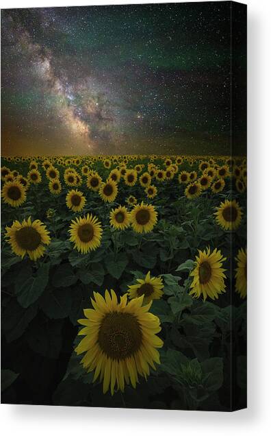 Night of a Billion Suns Canvas Art Print by Aaron J Groen