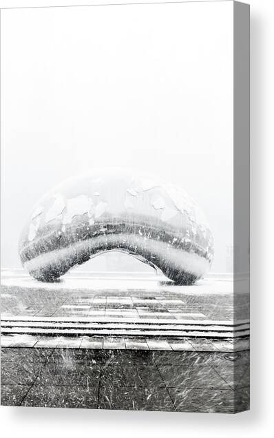 Snowy Bean Canvas Art Print by Sebastian Musial