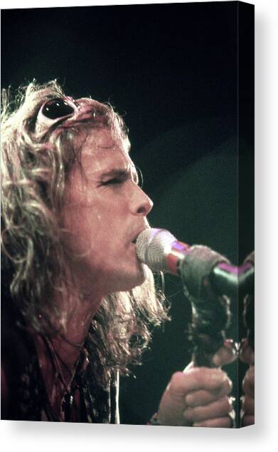 Steven Tyler & Aerosmith #8 Canvas Art Print by Mediapunch