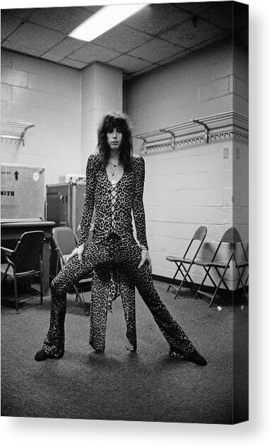 Aerosmith Live At Msg Canvas Art Print by Fin Costello