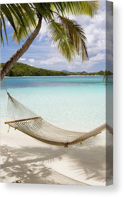 Hammock Hung On Palm Trees On A Canvas Art Print by Cdwheatley