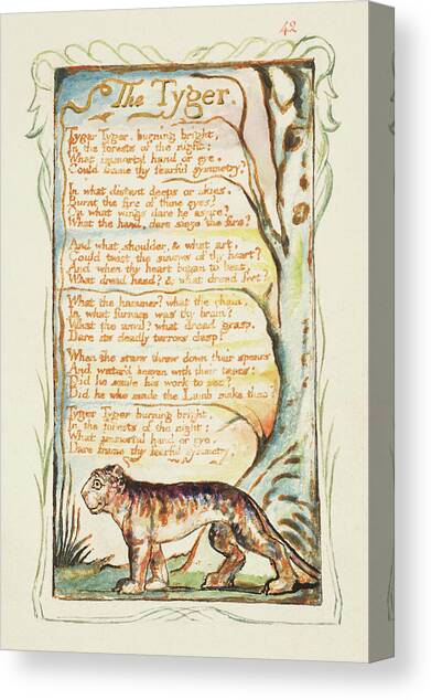 Songs of Innocence and of Experience The Tyger. Canvas Art Print by William Blake