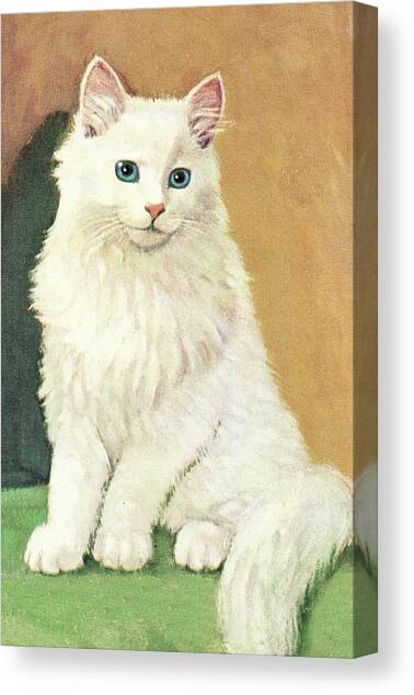 White cat Canvas Art Print by CSA Images