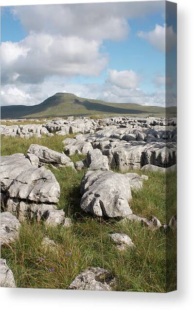 Ingleborough in North Yorkshire from Twistleton Scarr #1 Canvas Art Print by David Handson