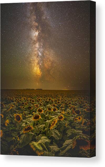 Billions Of Suns Canvas Print
