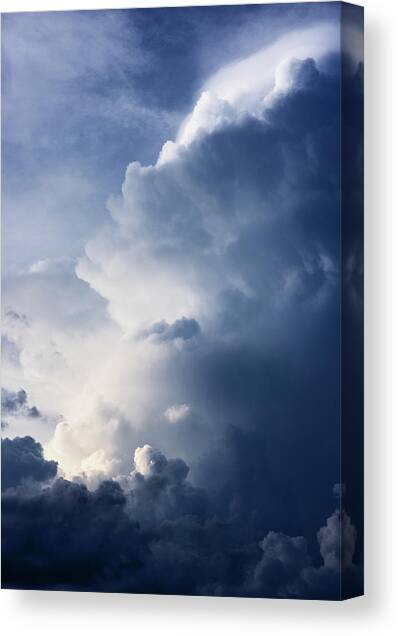 Cloudscape - Aloft Vertical Canvas Art Print by Laura Fasulo