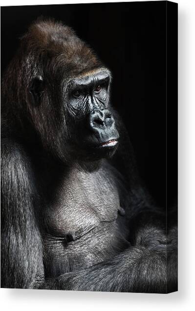 Deep in Thought Canvas Art Print by Artographie