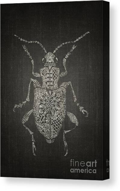 Overly bashful cockroach Canvas Art Print by Ema Paraschiv