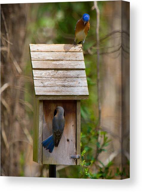 I think I like this one honey. You have to see the inside Canvas Art Print by Robert L Jackson