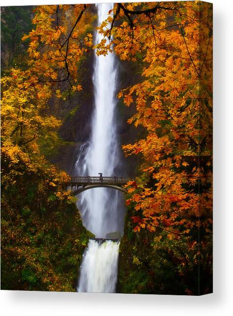 Multnomah Falls Color Canvas Art Print by Darren White