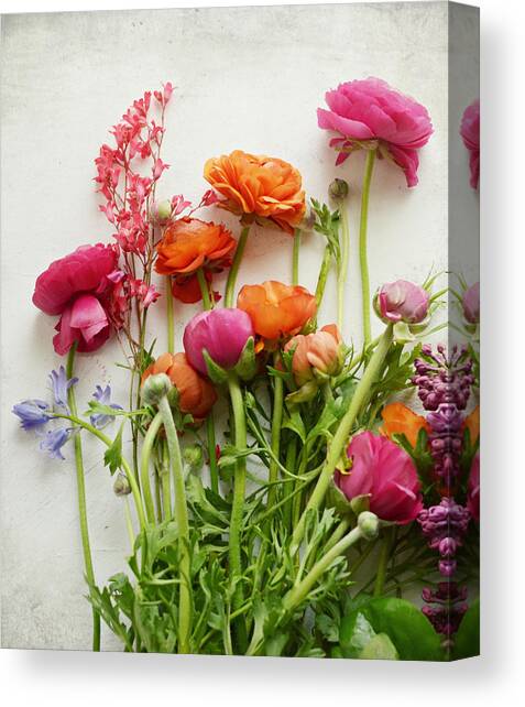 Spring Joy Canvas Art Print by Lupen Grainne