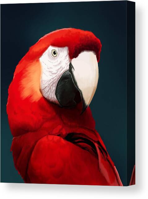 Macaw Parrot Colourful Wildlife Art Giant Poster Print A0 A1 A2 A3 A4 Sizes