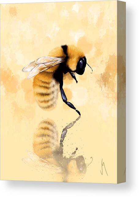 Bee Canvas Art Print by Veronica Minozzi