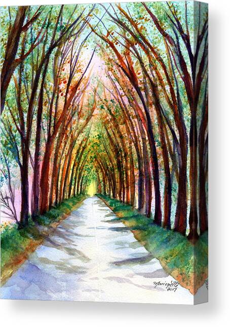 Kauai Tree Tunnel 4 Canvas Art Print by Marionette Taboniar