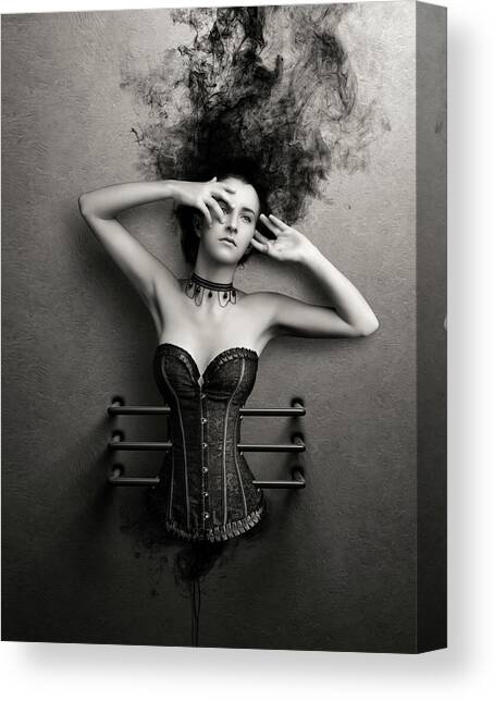 Trapped Canvas Art Print by Johan Swanepoel