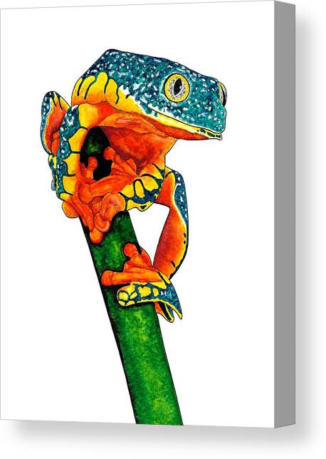 Fringed leaf tree frog Canvas Art Print by Loren Dowding