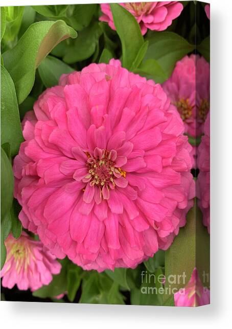 Separate Canvas Art Print by B True Xpressions