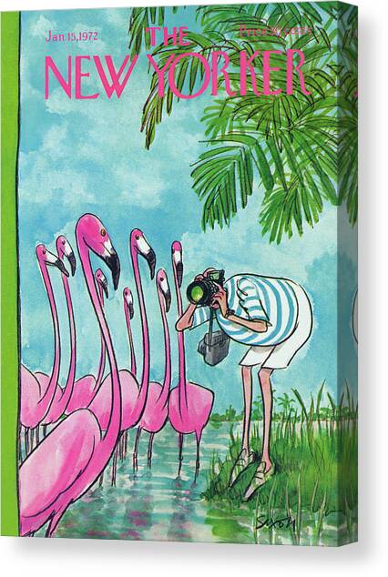 New Yorker January 15th, 1972 Canvas Art Print by Charles Saxon