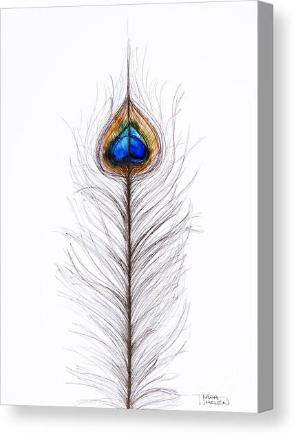 Peacock Abstract Canvas Art Print by Tara Thelen