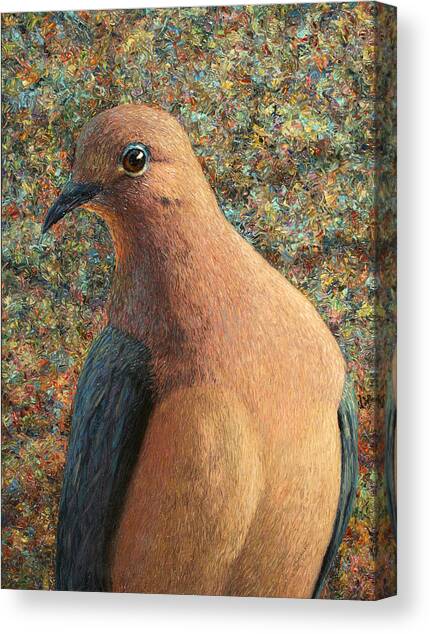 Dove Canvas Art Print by James W Johnson