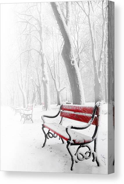 Red bench in the snow Canvas Art Print by  Jaroslaw Grudzinski