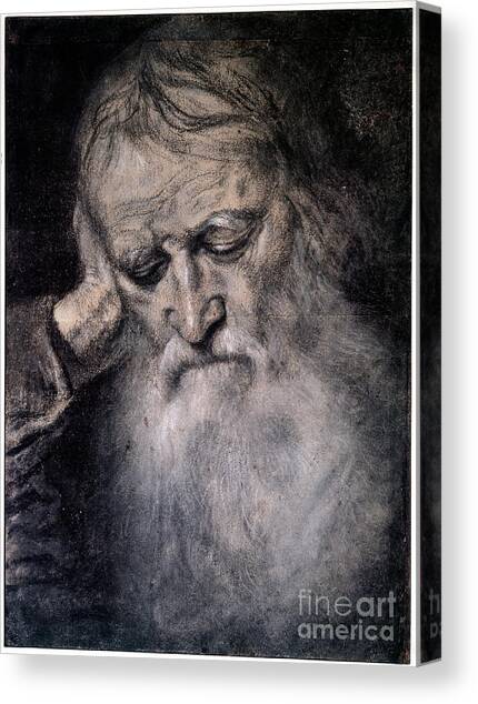 Old Man's Head Drawing By Tiziano Vecellio Called Titian Canvas Art Print by Titian