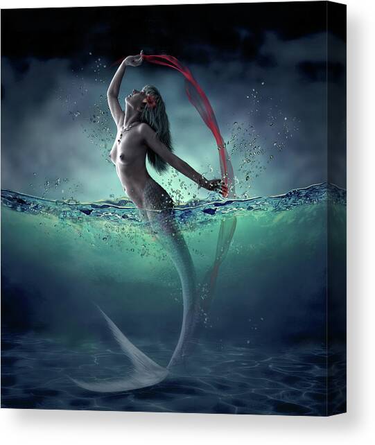 Ariel Canvas Art Print by Dmitry Laudin