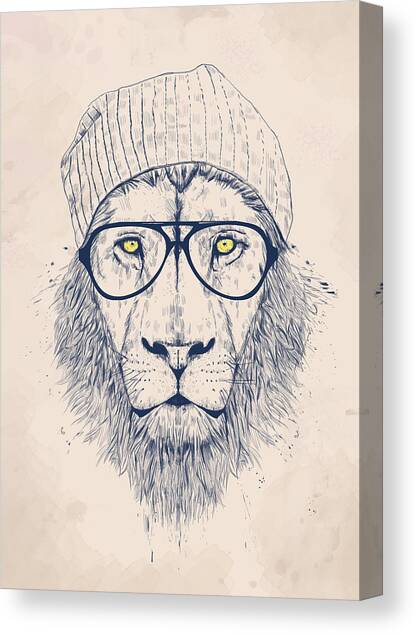 Cool lion Canvas Art Print by Balazs Solti