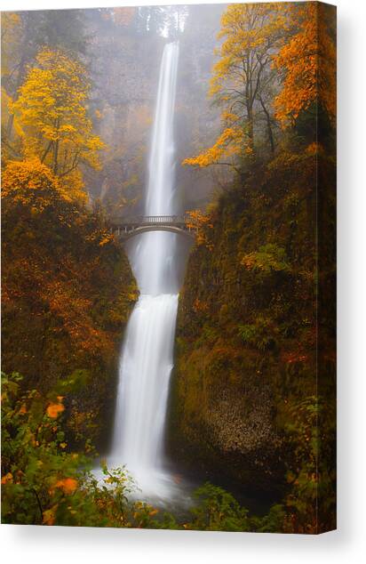Multnomah Morning Canvas Art Print by Darren White