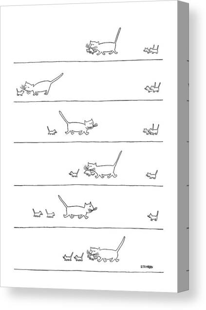 Playful Cats in Line Drawing Canvas Print
