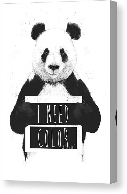 I need color Canvas Art Print by Balazs Solti