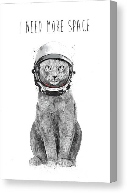 I need more space Canvas Art Print by Balazs Solti