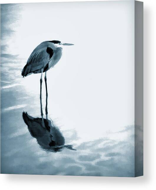 Heron in the Shallows Canvas Art Print by Carol Leigh